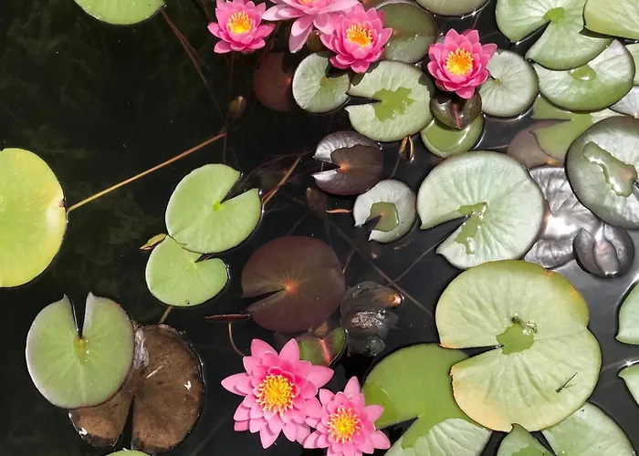 Rocce Rosse Apartment *